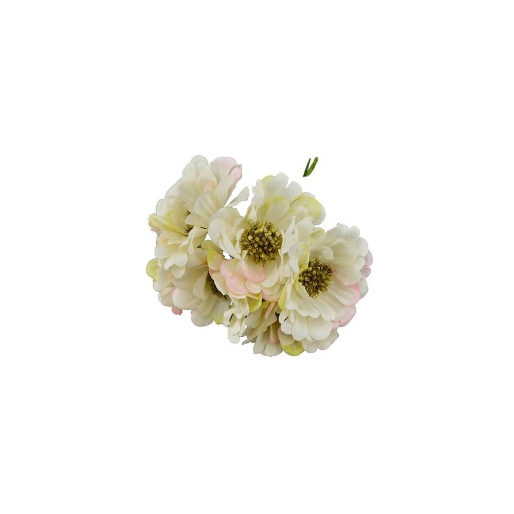 GERBERA SFUMATO BIANCO D5